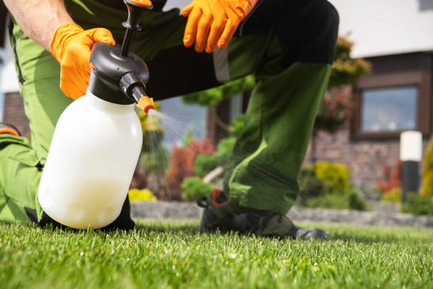 Best Wildlife Control Services  in Boonton, NJ