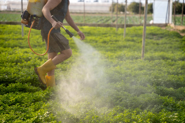 Pest Control Cost in Boonton, NJ